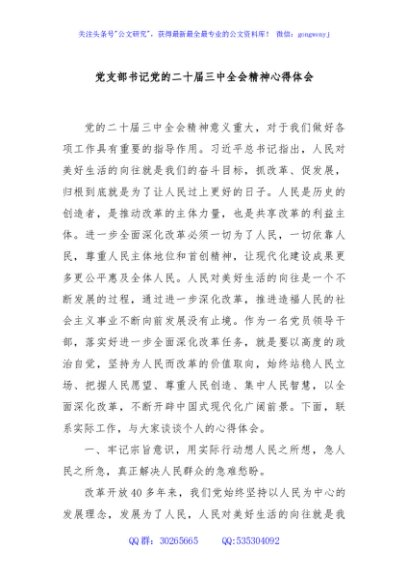 党支部书记党的二十届三中全会精神心得体会