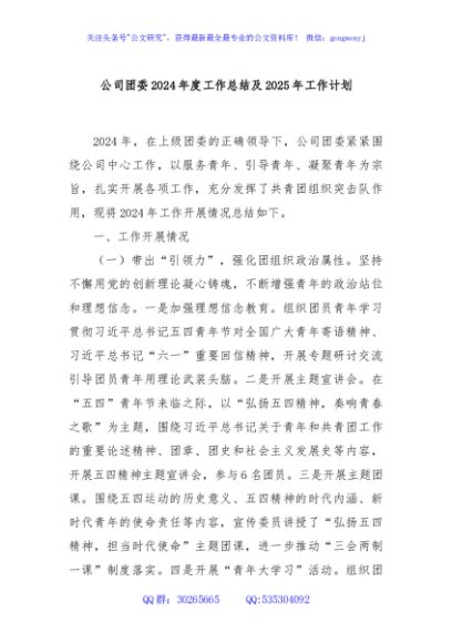 公司团委2024年度工作总结及2025年工作计划