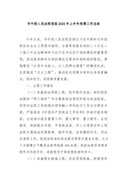 市中级人民法院党组2025年上半年党建工作总结