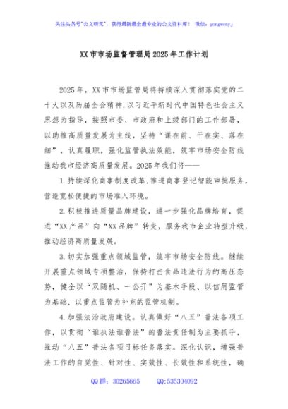 XX市市场监督管理局2025年工作计划