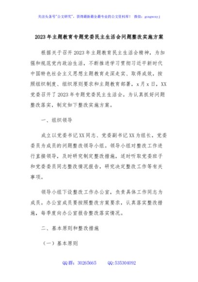 2023年主题教育专题党委民主生活会问题整改实施方案
