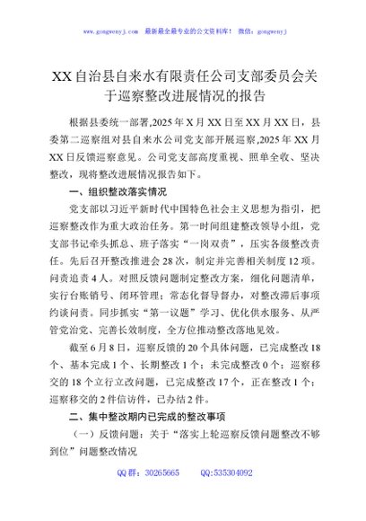 XX自治县自来水有限责任公司支部委员会关于巡察整改进展情况的报告