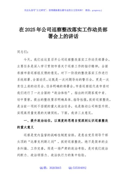 在2025年公司巡察整改落实工作动员部署会上的讲话