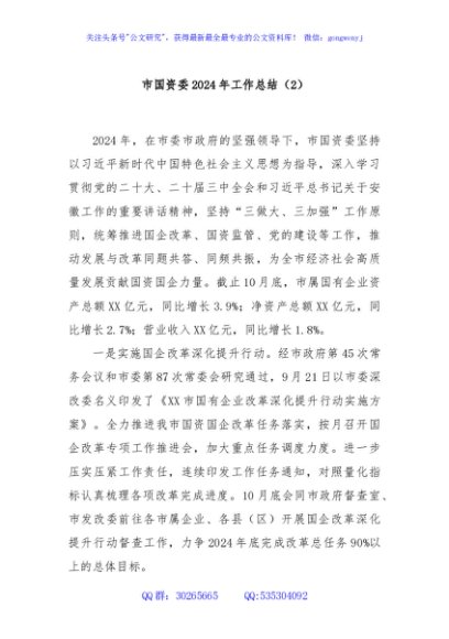 市国资委2024年工作总结（2）