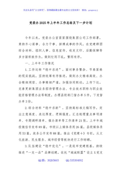 党委办2025年上半年工作总结及下一步计划