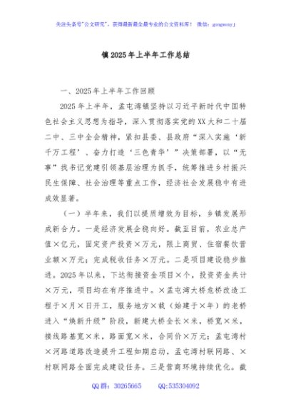 镇2025年上半年工作总结