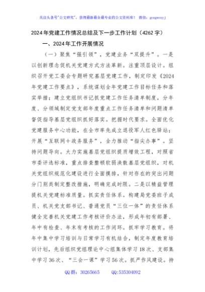 2024年党建工作情况总结及下一步工作计划（4262字）