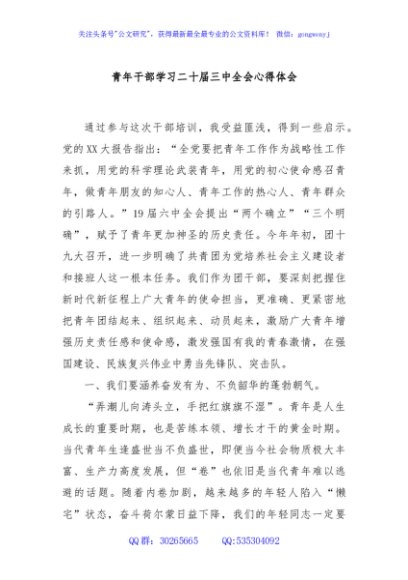 青年干部学习二十届三中全会心得体会