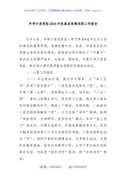 市审计局党组2024年抓基层党建述职工作报告