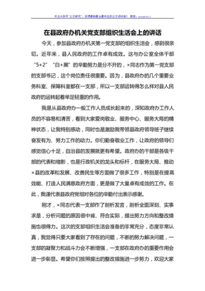 在县政府办机关党支部组织生活会上的讲话