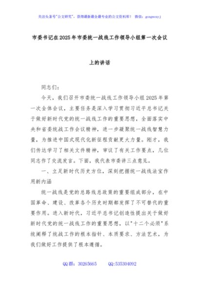 市委书记在2025年市委统一战线工作领导小组第一次会议上的讲话