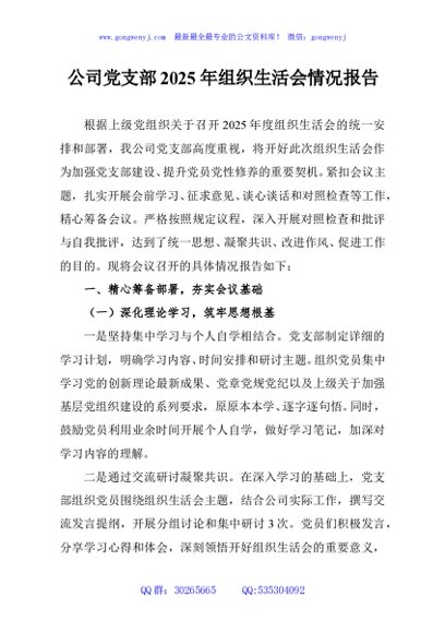 公司党支部2025年组织生活会情况报告
