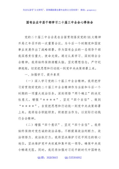 国有企业中层干部学习二十届三中全会心得体会