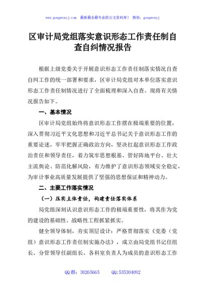 区审计局党组落实意识形态工作责任制自查自纠情况报告