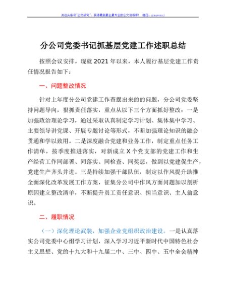 分公司党委书记抓基层党建工作述职总结