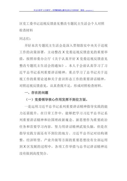 区党工委书记巡视反馈意见整改专题民主生活会个人对照检查材料