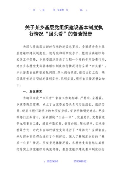关于某乡基层党组织建设基本制度执行情况“回头看”的督查报告