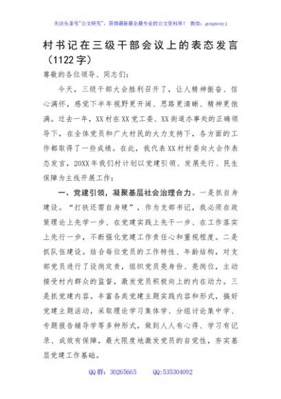 村书记在三级干部会议上的表态发言
