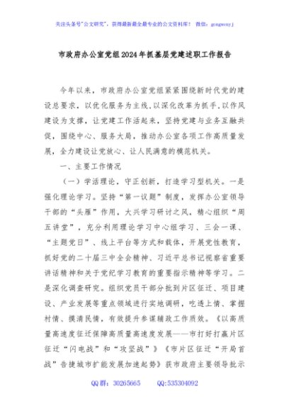 市政府办公室党组2024年抓基层党建述职工作报告