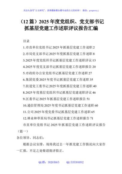 （12篇）2025年度党组织、党支部书记抓基层党建工作述职评议报告汇编