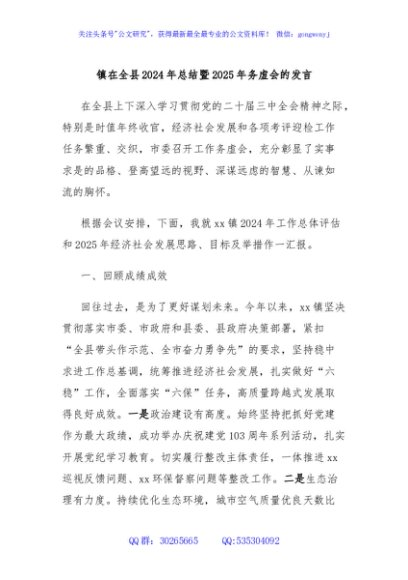 镇在全县2024年总结暨2025年务虚会的发言