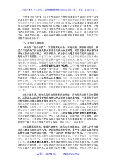 特大暴雨灾害追责问责案件以案促改民主生活会发言材料