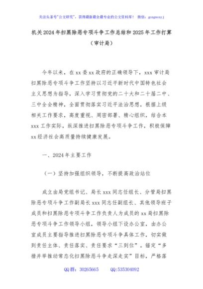 机关2024年扫黑除恶专项斗争工作总结和2025年工作打算（审计局）