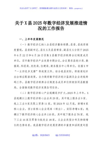 关于X县2025年数字经济发展推进情况的工作报告