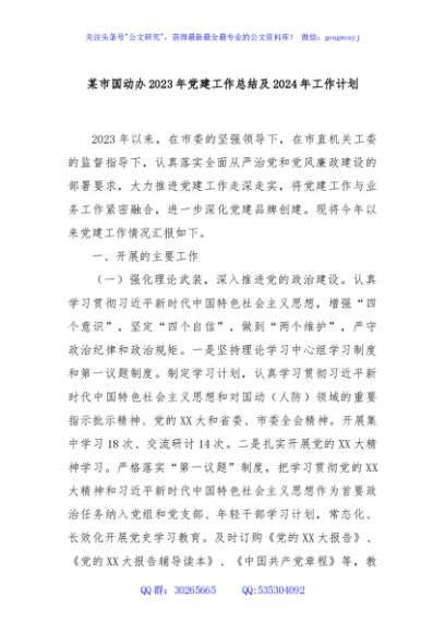 某市国动办2023年党建工作总结及2024年工作计划