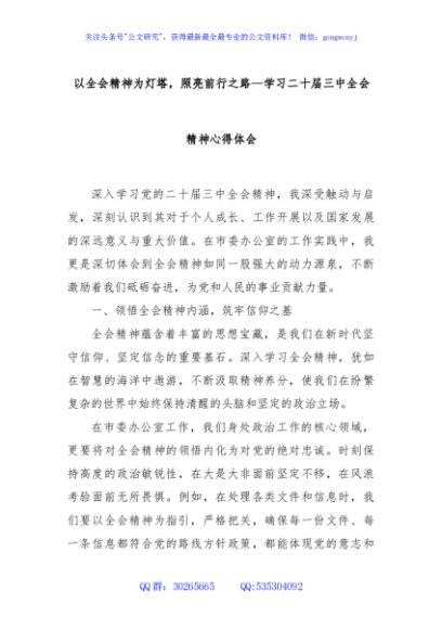 以全会精神为灯塔，照亮前行之路—学习二十届三中全会精神心得体会