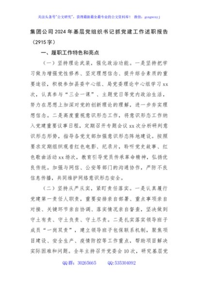 国企2024年基层党组织书记抓党建工作述职报告（2915字）