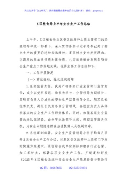 X区粮食局上半年安全生产工作总结