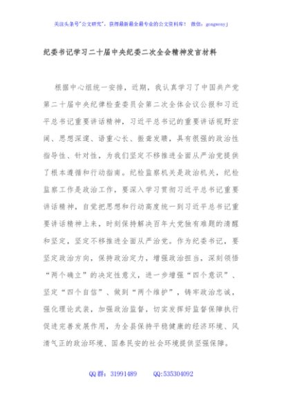 纪委书记学习二十届中央纪委二次全会精神发言材料