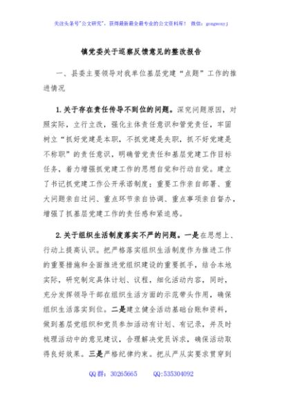 镇党委关于巡察反馈意见的整改报告