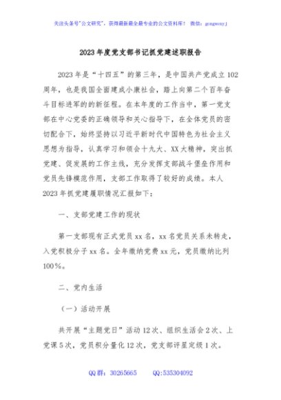 2023年度党支部书记抓党建述职报告